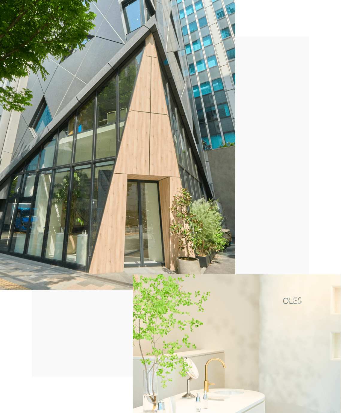 株式会社Recology 東京都港区北青山1-3-1アールキューブ青山1F